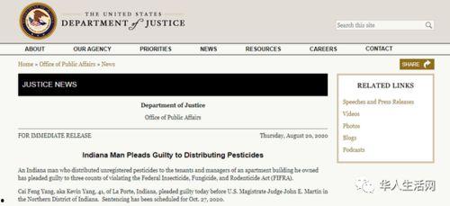 国产华人在线,探索中国互联网文化新篇章  第3张