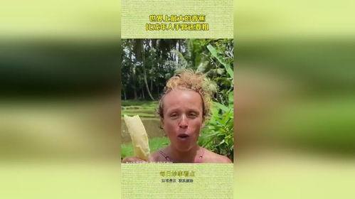 大香蕉国产成人,揭秘国内成人影视产业的崛起与挑战  第2张